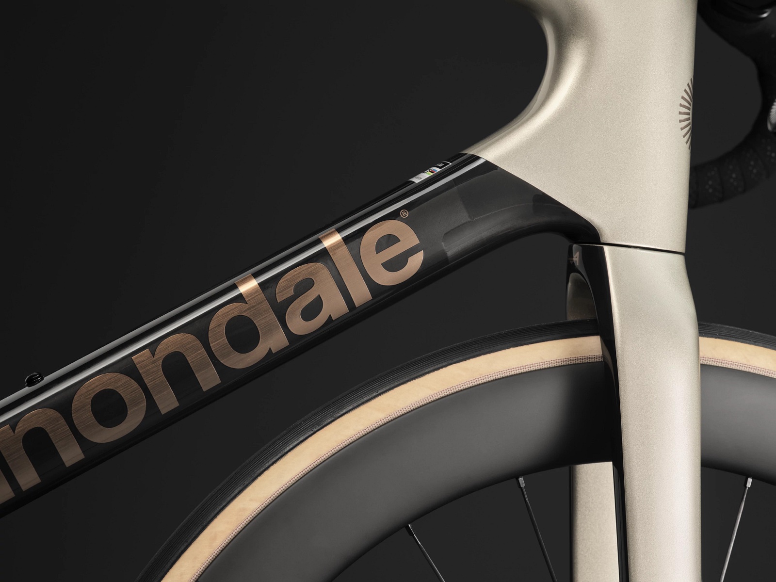 Detalhe da Cannondale SuperSix EVO